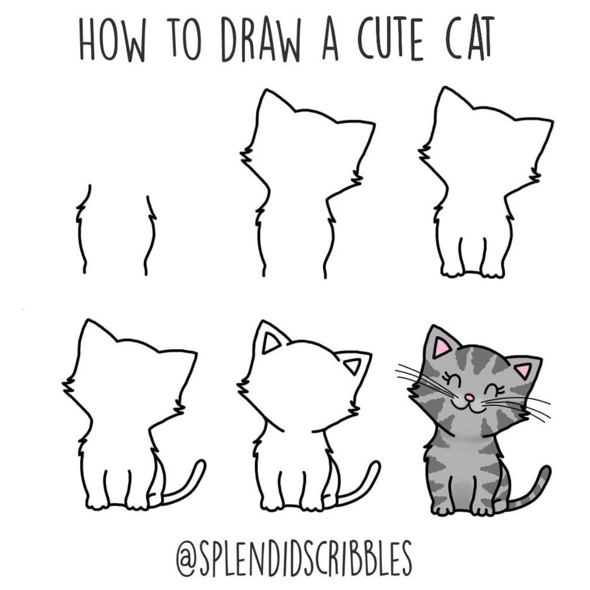 How to draw a Cat: Easy Step by Step tutorial