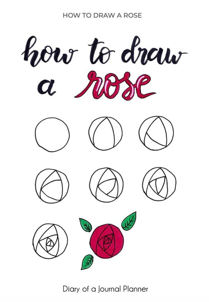 easy to draw rose