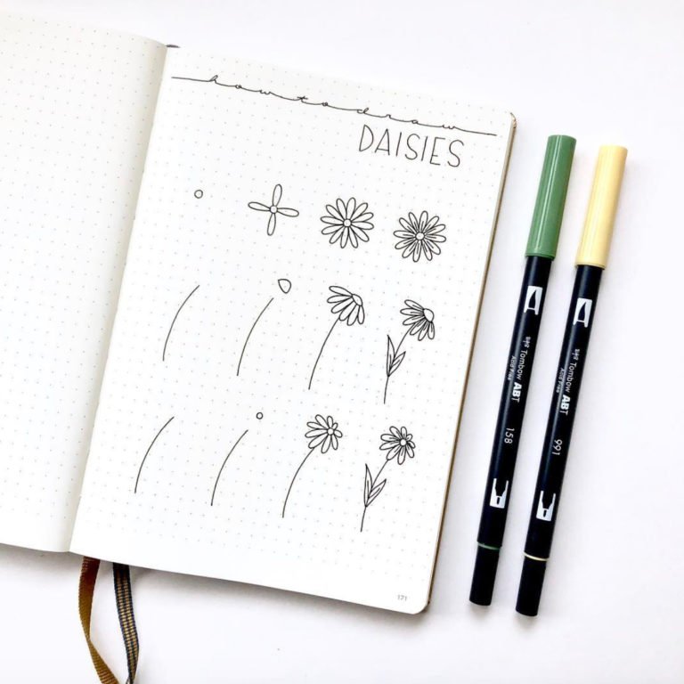 How to draw daisies step by step - The Smart Wander