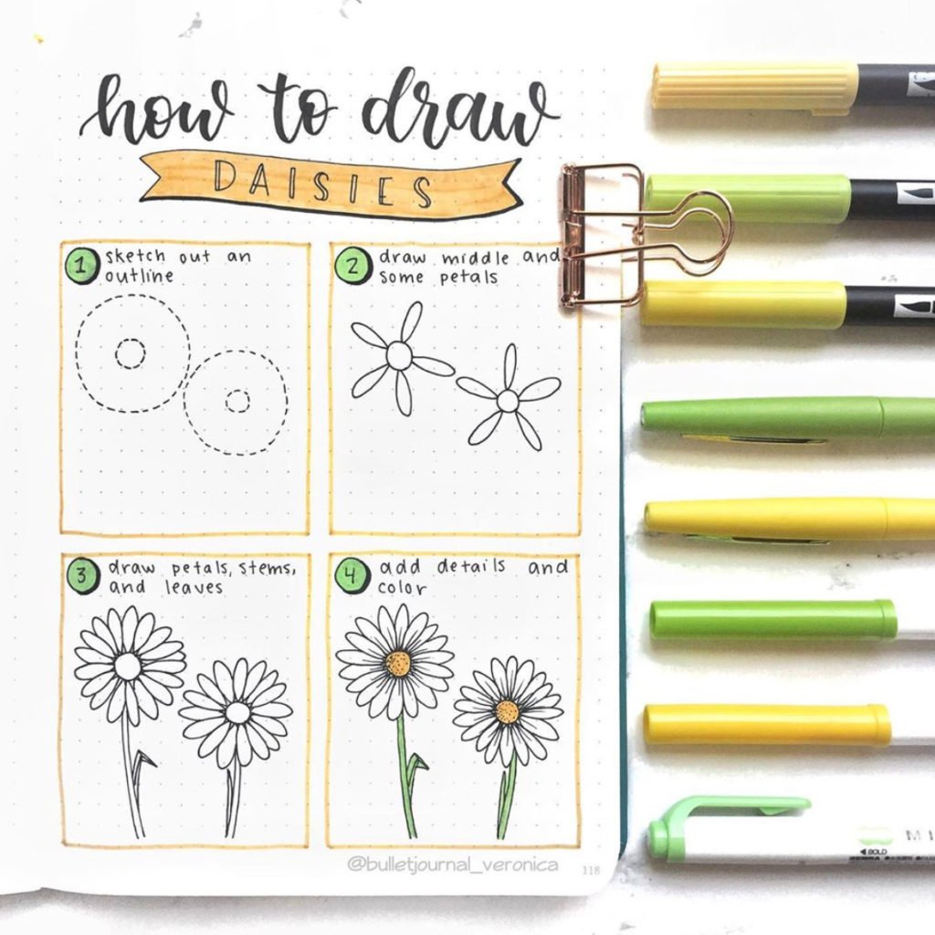 how to draw daisies