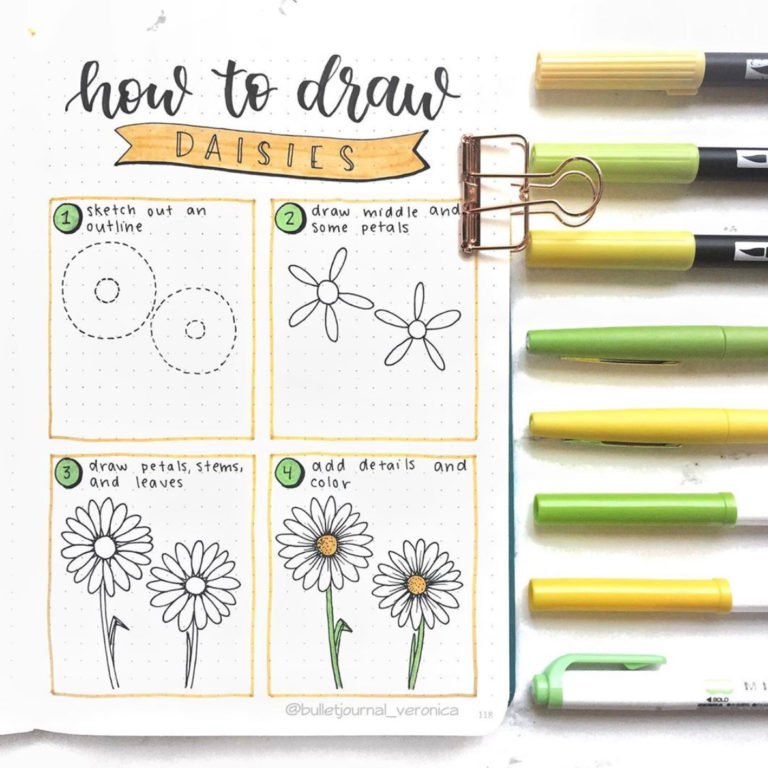 How to draw daisies step by step - The Smart Wander