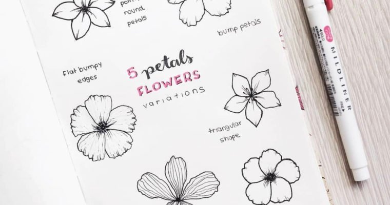 How to draw flowers step by step