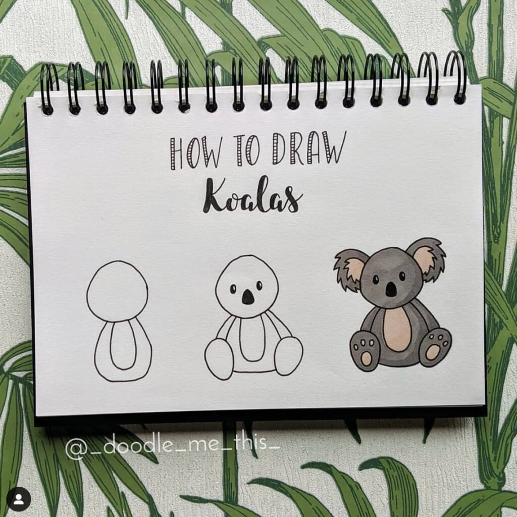 how to draw koala bear